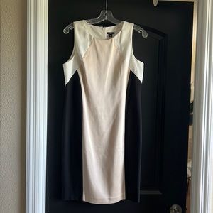 Ann Taylor Petite Dress 10P Black/White/cream